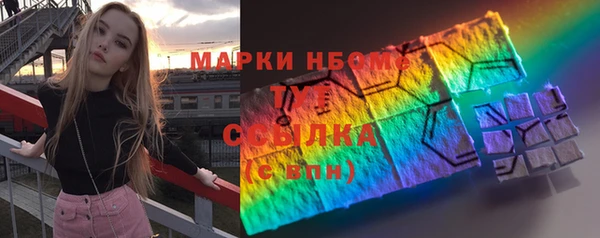 молекула духа Вяземский